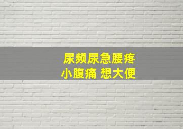 尿频尿急腰疼小腹痛 想大便